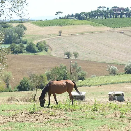 Farina Castiglione del Lago