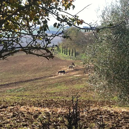 Κατάλυμα σε φάρμα Farina Castiglione del Lago