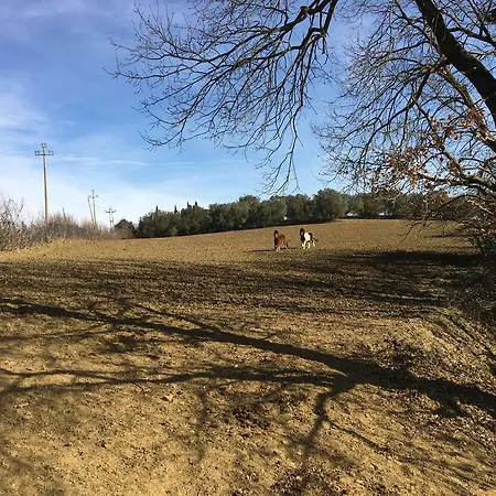 Κατάλυμα σε φάρμα Farina Castiglione del Lago