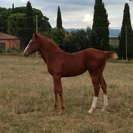 Κατάλυμα σε φάρμα Farina *