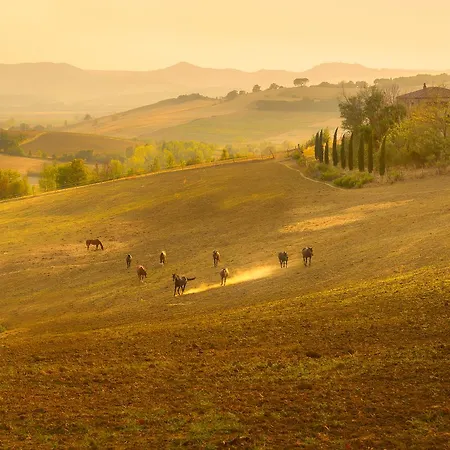 Farina Farmház Castiglione del Lago