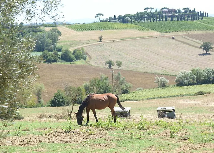 Farina Castiglione del Lago