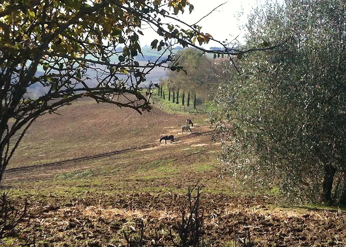 Farmház Farina Castiglione del Lago