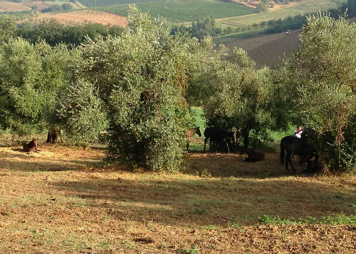 Farmház Farina Castiglione del Lago