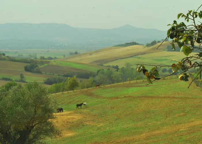 Farina Castiglione del Lago