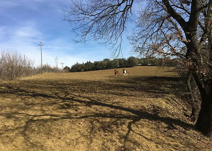 Farmház Farina Castiglione del Lago